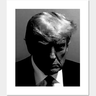 DONALD TRUMP MUG SHOT Posters and Art